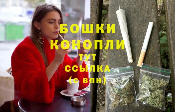 шишки Заволжье