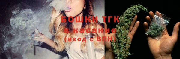 шишки Заволжье
