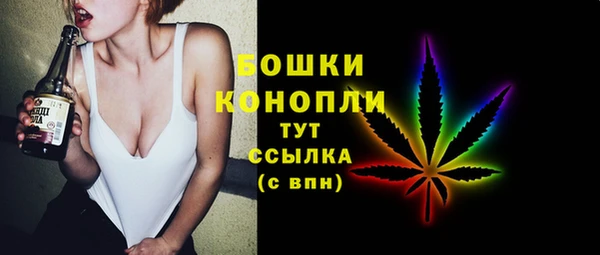 шишки Заволжье