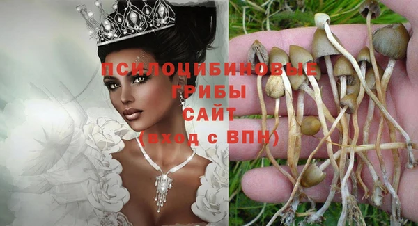 спиды Заводоуковск