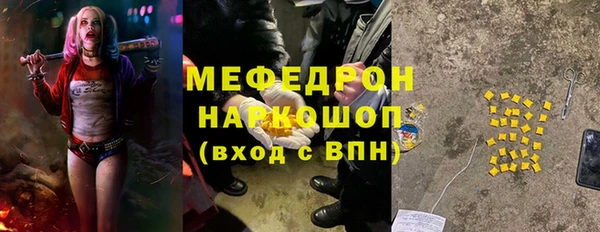 шишки Заволжье
