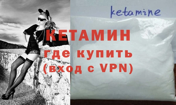 шишки Заволжье
