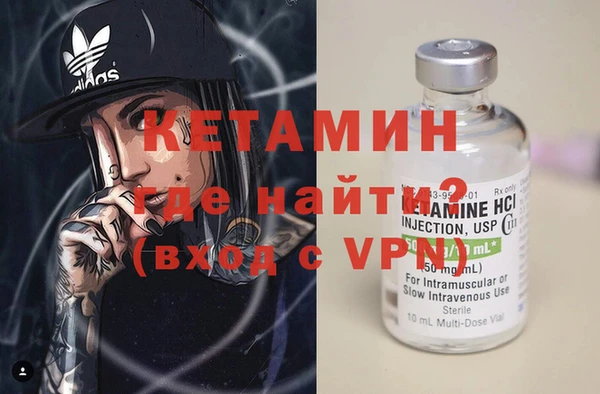 шишки Заволжье