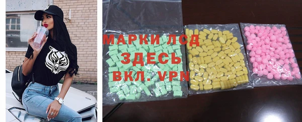 шишки Заволжье