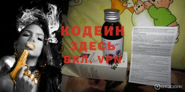 шишки Заволжье
