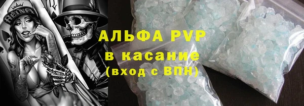 шишки Заволжье